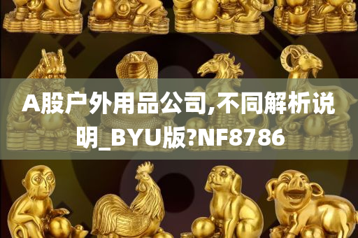 A股户外用品公司,不同解析说明_BYU版?NF8786