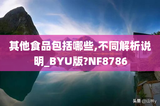 其他食品包括哪些,不同解析说明_BYU版?NF8786