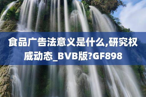 食品广告法意义是什么,研究权威动态_BVB版?GF898