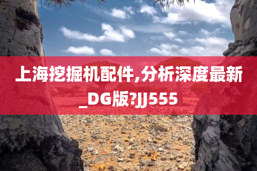 上海挖掘机配件,分析深度最新_DG版?JJ555