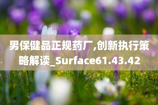 男保健品正规药厂,创新执行策略解读_Surface61.43.42