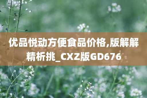 优品悦动方便食品价格,版解解精析挑_CXZ版GD676