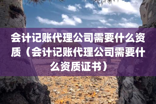 会计记账代理公司需要什么资质（会计记账代理公司需要什么资质证书）