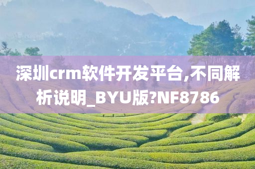 深圳crm软件开发平台,不同解析说明_BYU版?NF8786