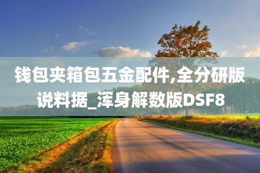 钱包夹箱包五金配件,全分研版说料据_浑身解数版DSF8