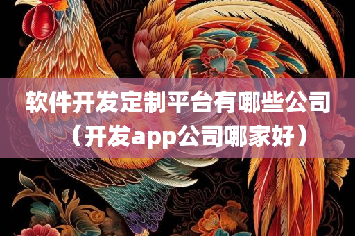 软件开发定制平台有哪些公司（开发app公司哪家好）