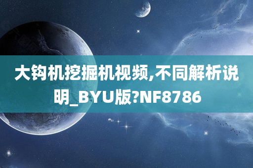 大钩机挖掘机视频,不同解析说明_BYU版?NF8786