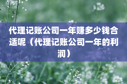 代理记账公司一年赚多少钱合适呢（代理记账公司一年的利润）