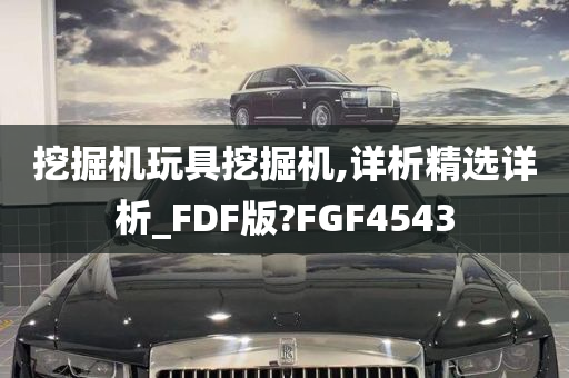 挖掘机玩具挖掘机,详析精选详析_FDF版?FGF4543