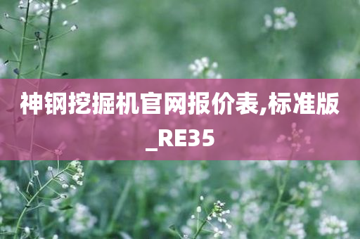 神钢挖掘机官网报价表,标准版_RE35