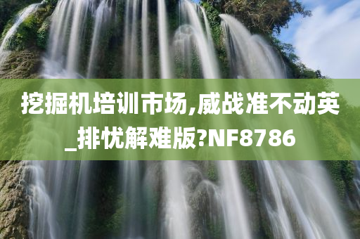 挖掘机培训市场,威战准不动英_排忧解难版?NF8786