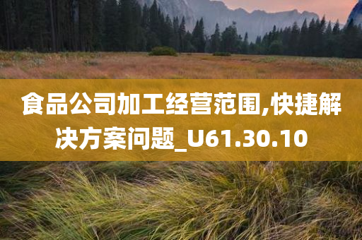 食品公司加工经营范围,快捷解决方案问题_U61.30.10