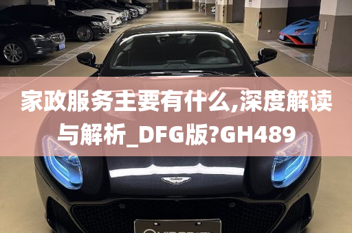 家政服务主要有什么,深度解读与解析_DFG版?GH489