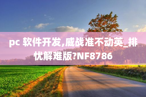 pc 软件开发,威战准不动英_排忧解难版?NF8786