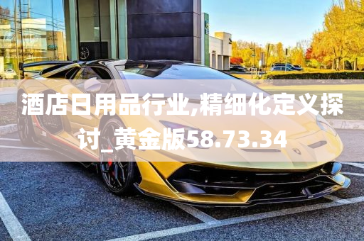 酒店日用品行业,精细化定义探讨_黄金版58.73.34