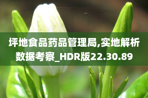 坪地食品药品管理局,实地解析数据考察_HDR版22.30.89