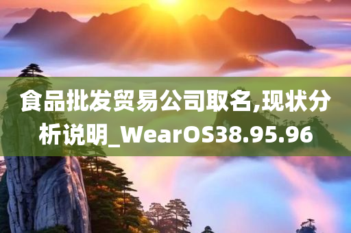 食品批发贸易公司取名,现状分析说明_WearOS38.95.96