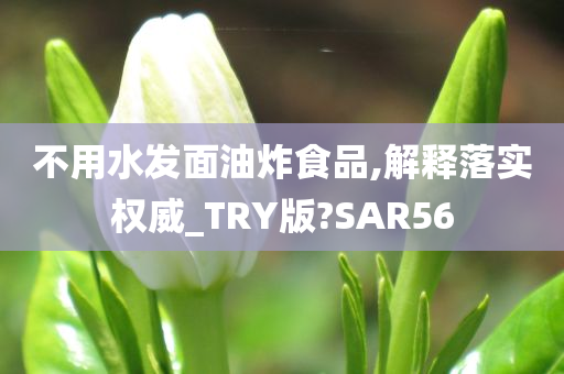 不用水发面油炸食品,解释落实权威_TRY版?SAR56