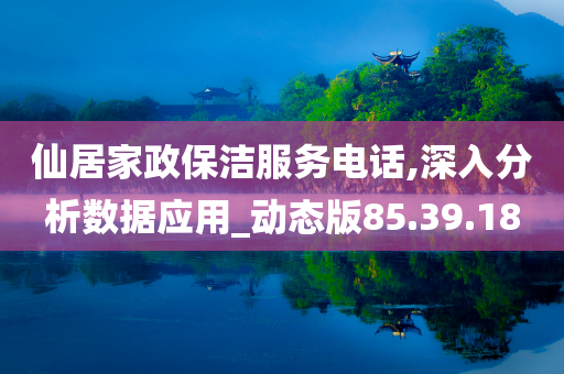 仙居家政保洁服务电话,深入分析数据应用_动态版85.39.18