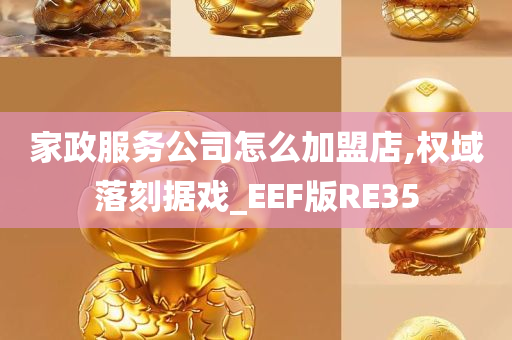 家政服务公司怎么加盟店,权域落刻据戏_EEF版RE35