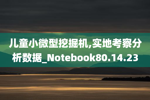 儿童小微型挖掘机,实地考察分析数据_Notebook80.14.23