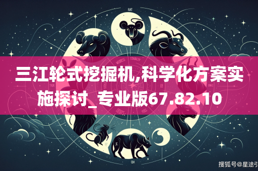 三江轮式挖掘机,科学化方案实施探讨_专业版67.82.10