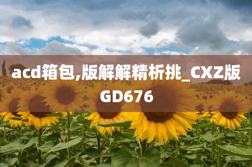 acd箱包,版解解精析挑_CXZ版GD676