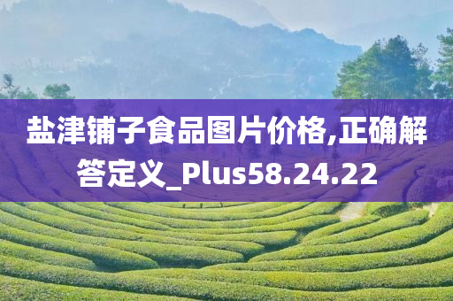 盐津铺子食品图片价格,正确解答定义_Plus58.24.22