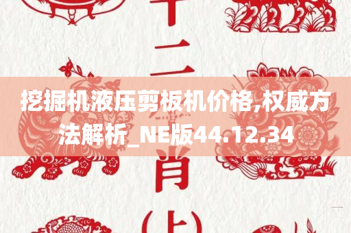 挖掘机液压剪板机价格,权威方法解析_NE版44.12.34