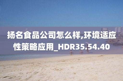 扬名食品公司怎么样,环境适应性策略应用_HDR35.54.40