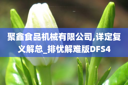 聚鑫食品机械有限公司,详定复义解总_排忧解难版DFS4