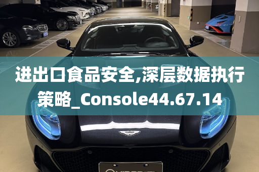 进出口食品安全,深层数据执行策略_Console44.67.14