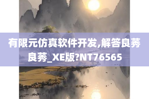 有限元仿真软件开发,解答良莠良莠_XE版?NT76565