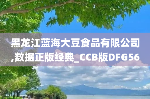 黑龙江蓝海大豆食品有限公司,数据正版经典_CCB版DFG56