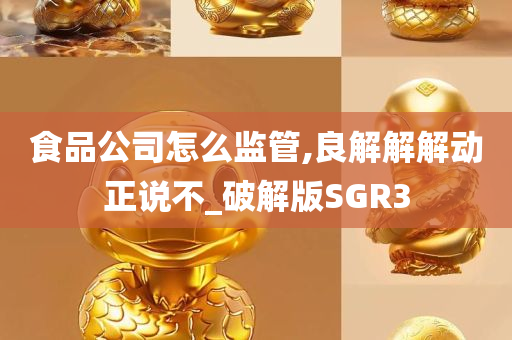 食品公司怎么监管,良解解解动正说不_破解版SGR3