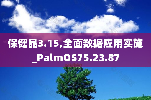 保健品3.15,全面数据应用实施_PalmOS75.23.87