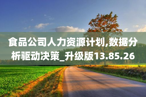 食品公司人力资源计划,数据分析驱动决策_升级版13.85.26