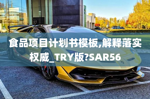 食品项目计划书模板,解释落实权威_TRY版?SAR56