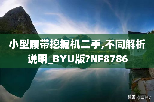 小型履带挖掘机二手,不同解析说明_BYU版?NF8786