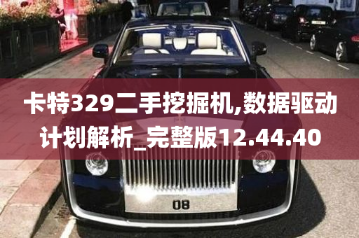 卡特329二手挖掘机,数据驱动计划解析_完整版12.44.40