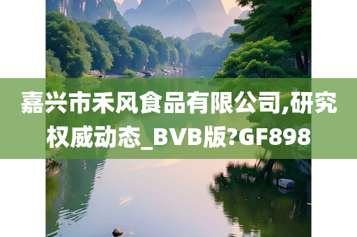 嘉兴市禾风食品有限公司,研究权威动态_BVB版?GF898