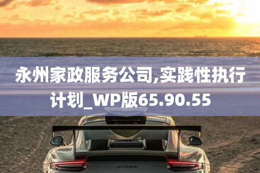 永州家政服务公司,实践性执行计划_WP版65.90.55