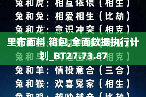 里布面料 箱包,全面数据执行计划_BT27.73.87