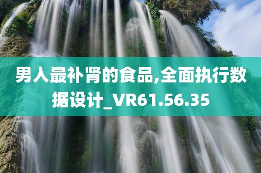 男人最补肾的食品,全面执行数据设计_VR61.56.35