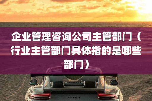 企业管理咨询公司主管部门（行业主管部门具体指的是哪些部门）