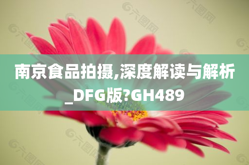 南京食品拍摄,深度解读与解析_DFG版?GH489