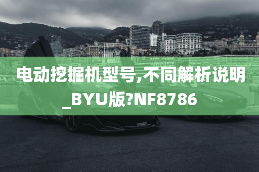 电动挖掘机型号,不同解析说明_BYU版?NF8786