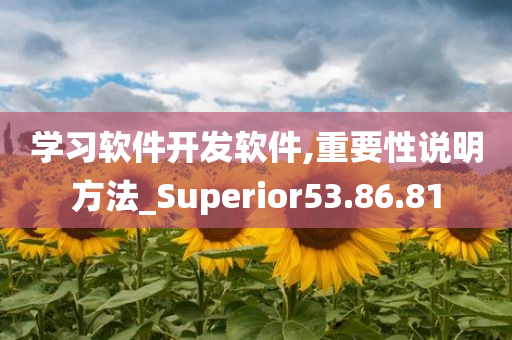 学习软件开发软件,重要性说明方法_Superior53.86.81