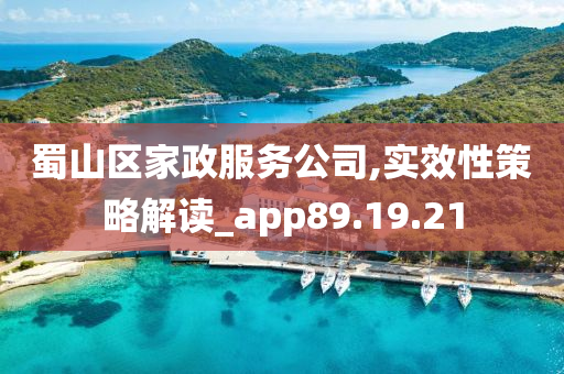 蜀山区家政服务公司,实效性策略解读_app89.19.21