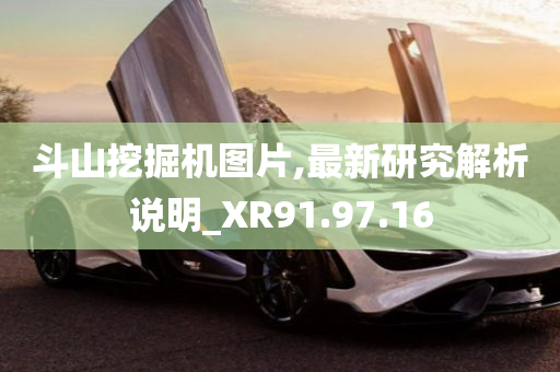 斗山挖掘机图片,最新研究解析说明_XR91.97.16